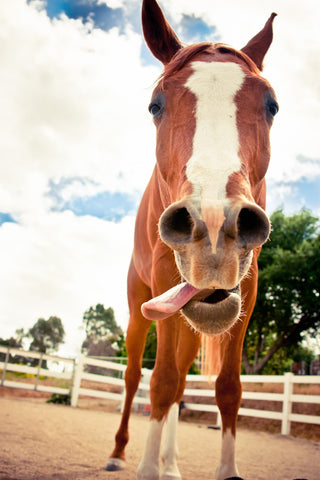Tongue Out Greeting Card