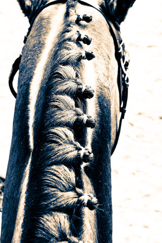 Knots in Mane Greeting Card