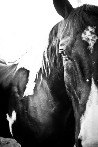 Heart on Shoulder Greeting Card