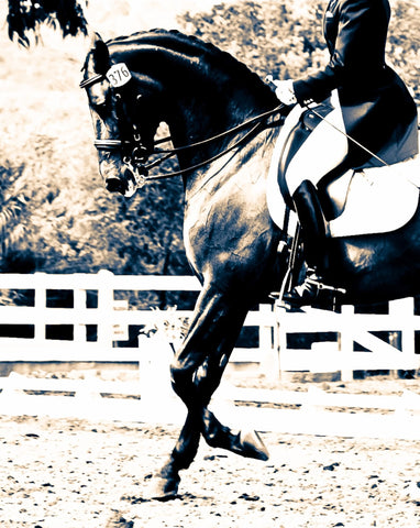 Dressage Greeting Card