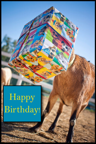 Goat in Box Birthday Card