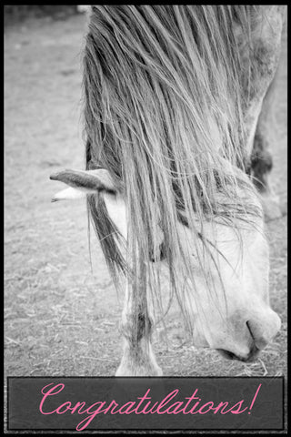 Bowing Horse Congratulatory Card