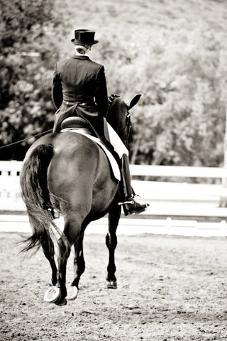 Trotting Away Dressage Greeting Card