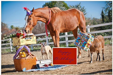 Goat, Horse, and Dog Birthday Card