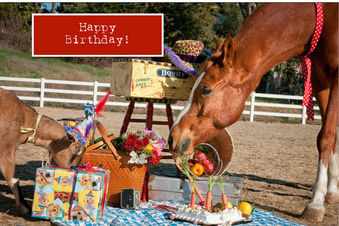 Goat and Horse Birthday Card